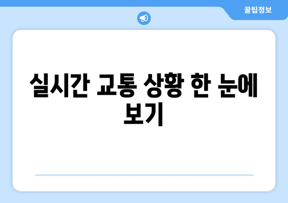 실시간 교통 상황 한 눈에 보기