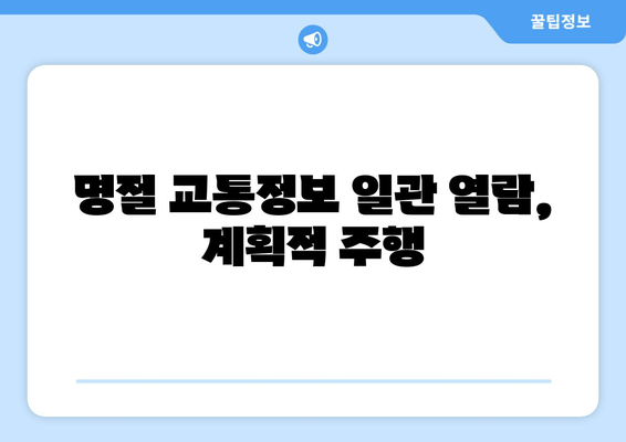 명절 교통정보 일관 열람, 계획적 주행