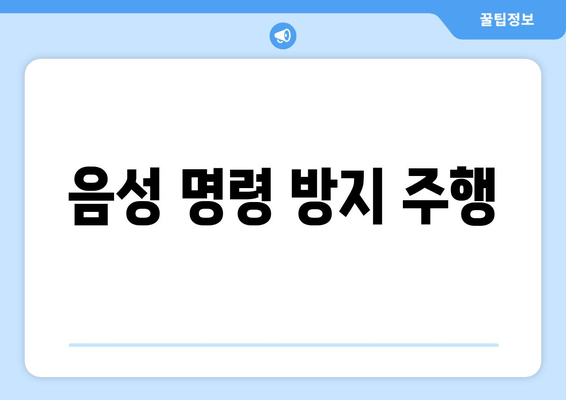 음성 명령 방지 주행