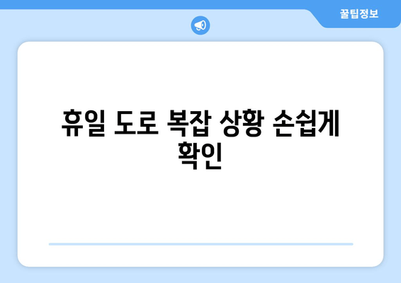 휴일 도로 복잡 상황 손쉽게 확인