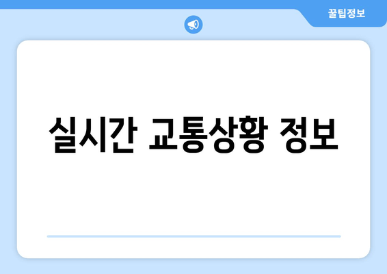 실시간 교통상황 정보