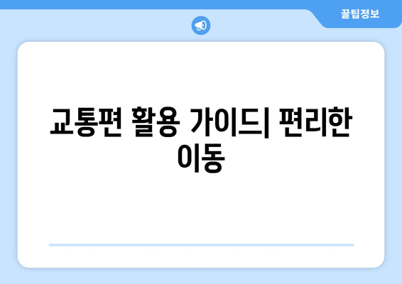 교통편 활용 가이드| 편리한 이동