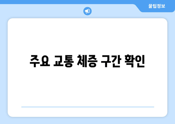 주요 교통 체증 구간 확인