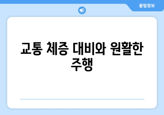 교통 체증 대비와 원활한 주행