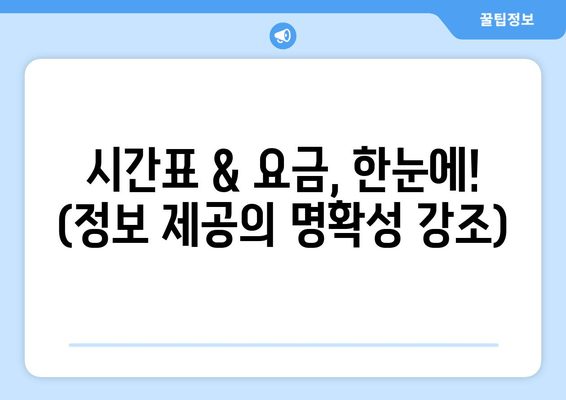 시간표 & 요금, 한눈에! (정보 제공의 명확성 강조)