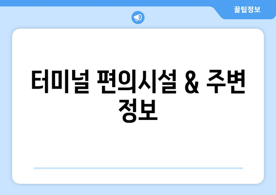 터미널 편의시설 & 주변 정보