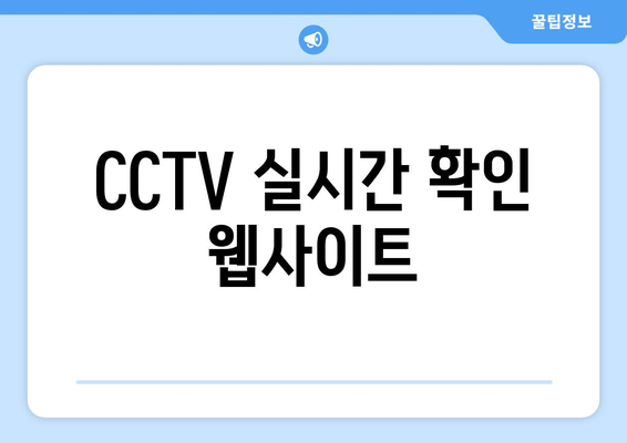 CCTV 실시간 확인 웹사이트