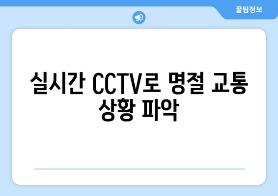 실시간 CCTV로 명절 교통 상황 파악