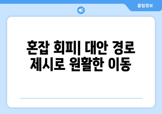 혼잡 회피| 대안 경로 제시로 원활한 이동