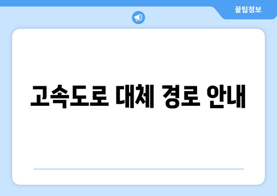 고속도로 대체 경로 안내