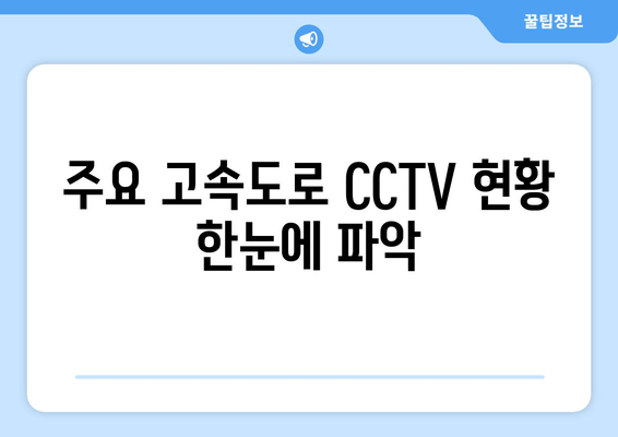 주요 고속도로 CCTV 현황 한눈에 파악