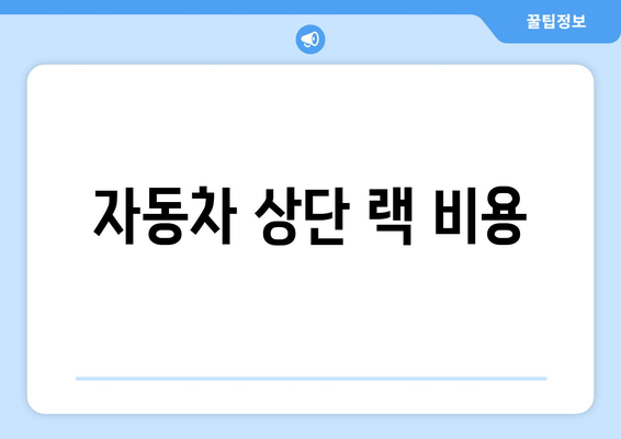 자동차 상단 랙 비용