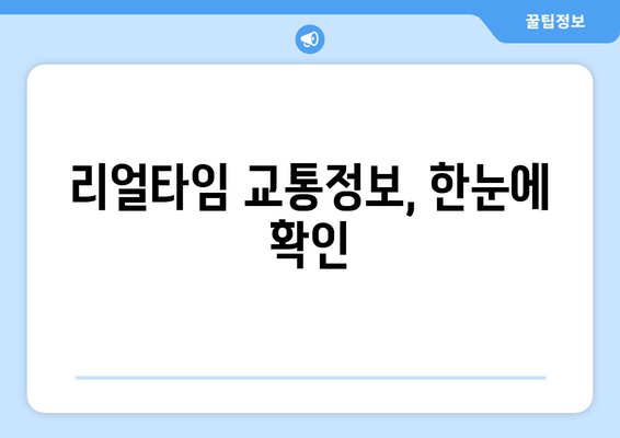 리얼타임 교통정보, 한눈에 확인