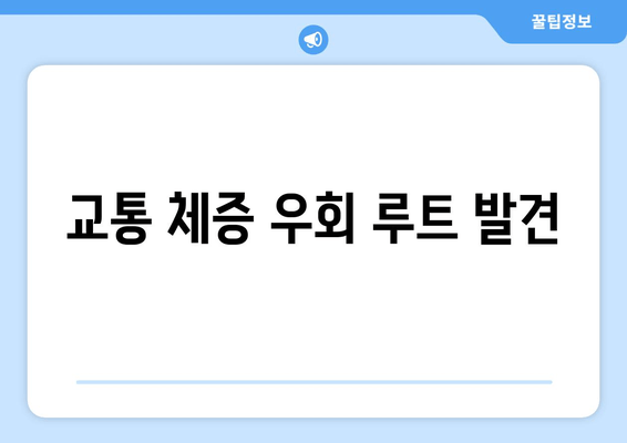 교통 체증 우회 루트 발견