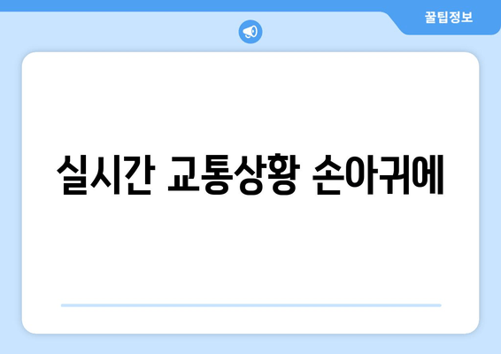 실시간 교통상황 손아귀에