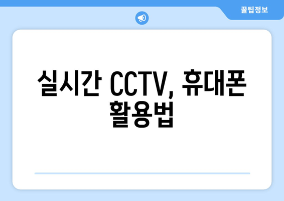 실시간 CCTV, 휴대폰 활용법