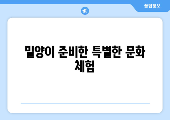 밀양이 준비한 특별한 문화 체험