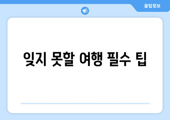 잊지 못할 여행 필수 팁