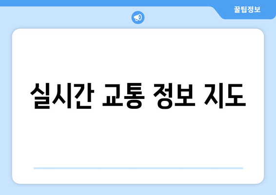 실시간 교통 정보 지도