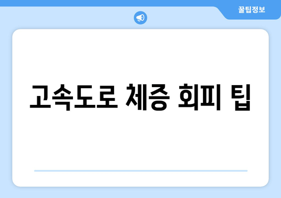 고속도로 체증 회피 팁