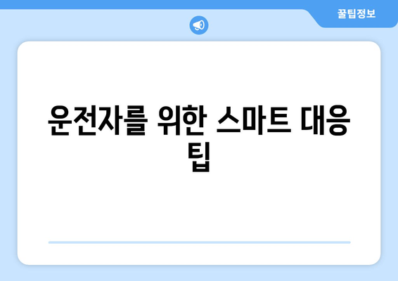 운전자를 위한 스마트 대응 팁