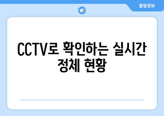 CCTV로 확인하는 실시간 정체 현황