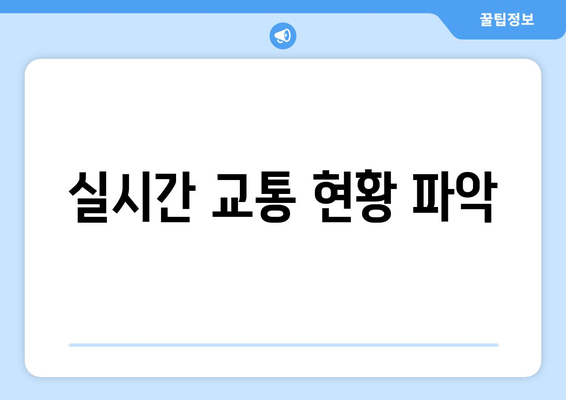 실시간 교통 현황 파악