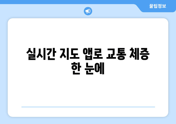 실시간 지도 앱로 교통 체증 한 눈에