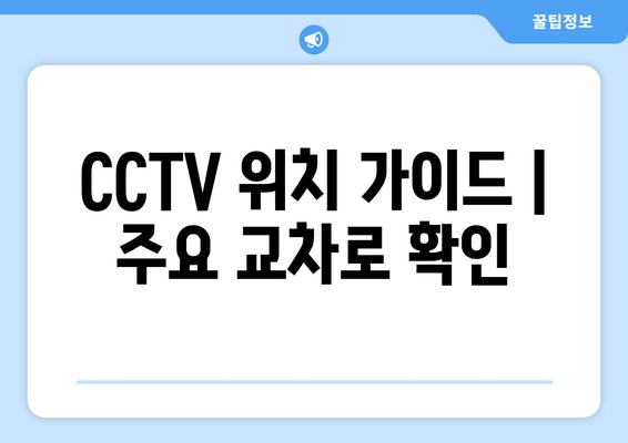 CCTV 위치 가이드 | 주요 교차로 확인