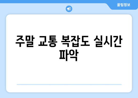 주말 교통 복잡도 실시간 파악