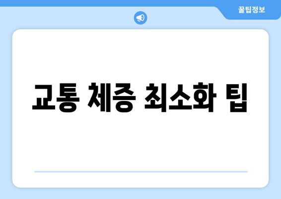 교통 체증 최소화 팁