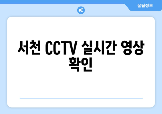 서천 CCTV 실시간 영상 확인