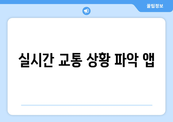 실시간 교통 상황 파악 앱