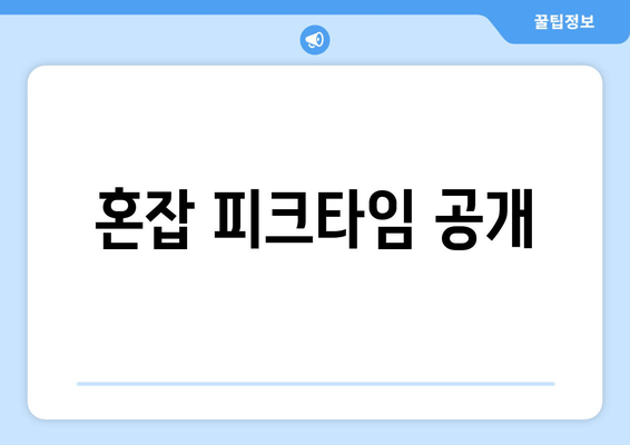 혼잡 피크타임 공개