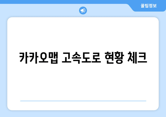 카카오맵 고속도로 현황 체크