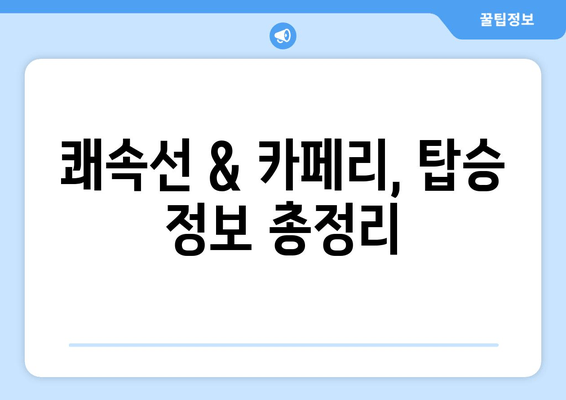 쾌속선 & 카페리, 탑승 정보 총정리