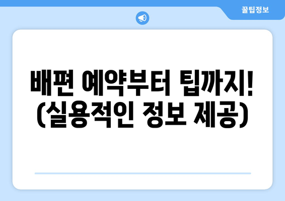 배편 예약부터 팁까지! (실용적인 정보 제공)