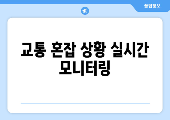 교통 혼잡 상황 실시간 모니터링