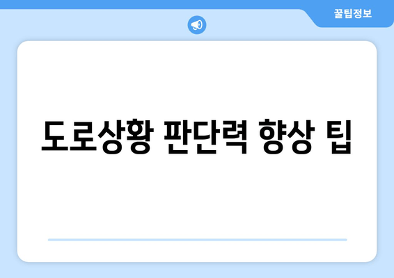 도로상황 판단력 향상 팁