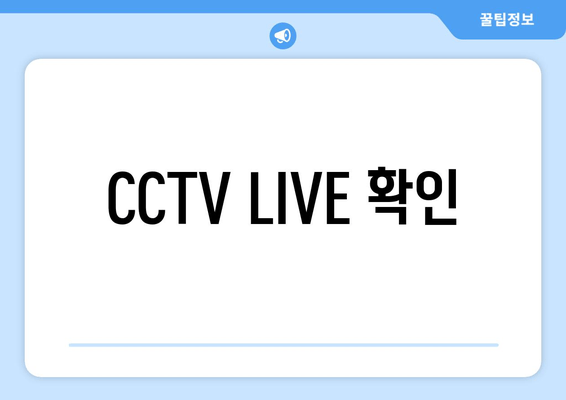 CCTV LIVE 확인