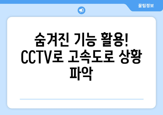 숨겨진 기능 활용! CCTV로 고속도로 상황 파악