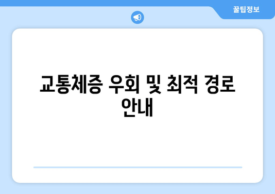 교통체증 우회 및 최적 경로 안내