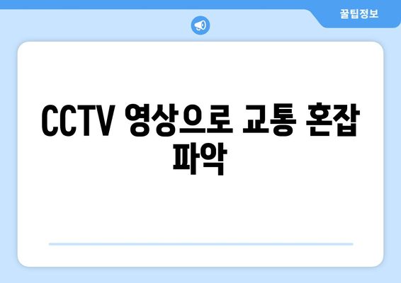 CCTV 영상으로 교통 혼잡 파악