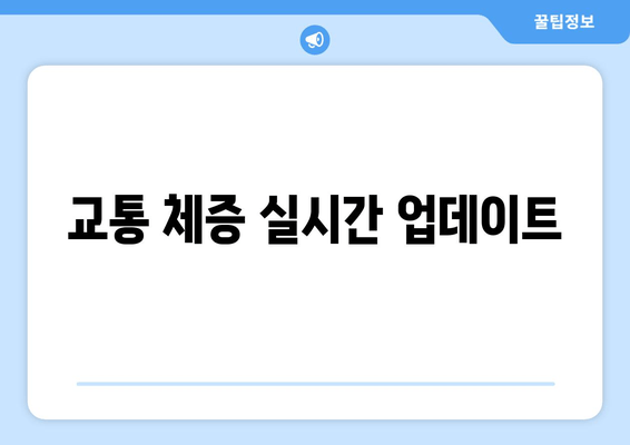 교통 체증 실시간 업데이트