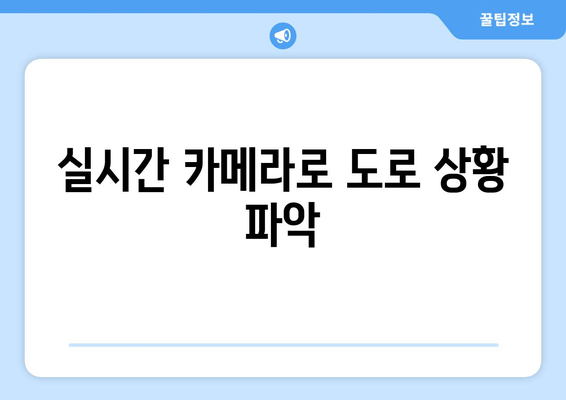 실시간 카메라로 도로 상황 파악