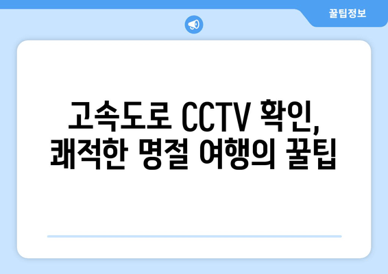 고속도로 CCTV 확인, 쾌적한 명절 여행의 꿀팁