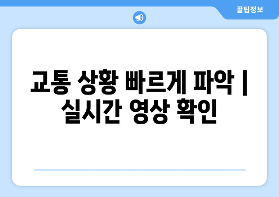 교통 상황 빠르게 파악 | 실시간 영상 확인