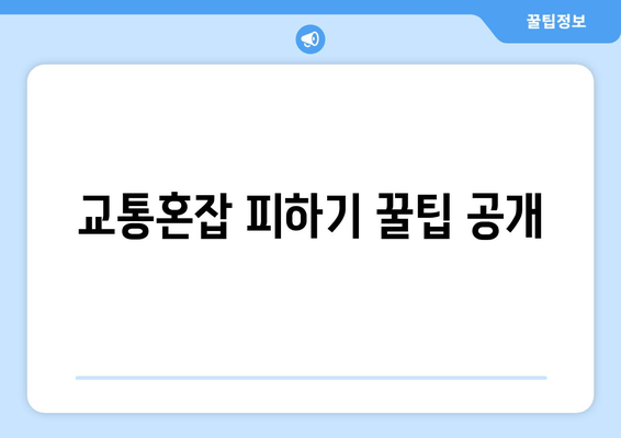 교통혼잡 피하기 꿀팁 공개