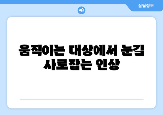 움직이는 대상에서 눈길 사로잡는 인상