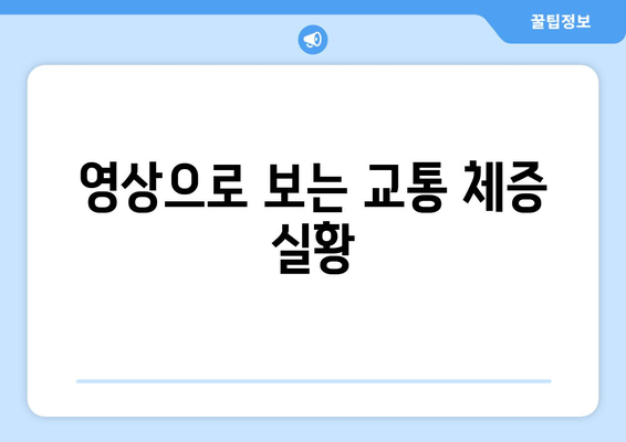 영상으로 보는 교통 체증 실황